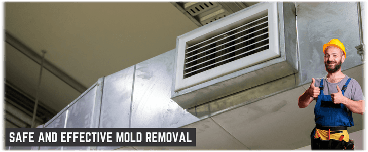 Air Duct Mold Removal in Lewisville